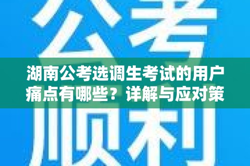 湖南公考选调生考试的用户痛点有哪些？详解与应对策略